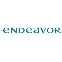 endeavor